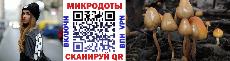 Псилоцибиновые грибы мицелий  Купить закладки  Отрадная 