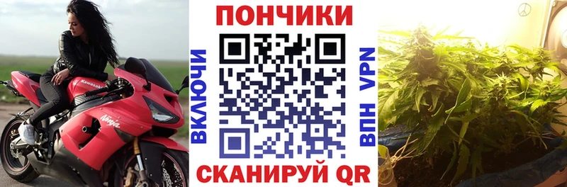 Бошки марихуана Amnesia  Купить закладки  Отрадная 